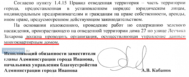 Мэрия и УК переадресуют друг другу просьбы снести опасное дерево в Иванове
